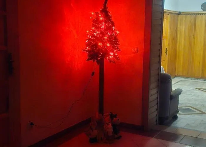 Grzesiczek Bed and breakfast Zakopane